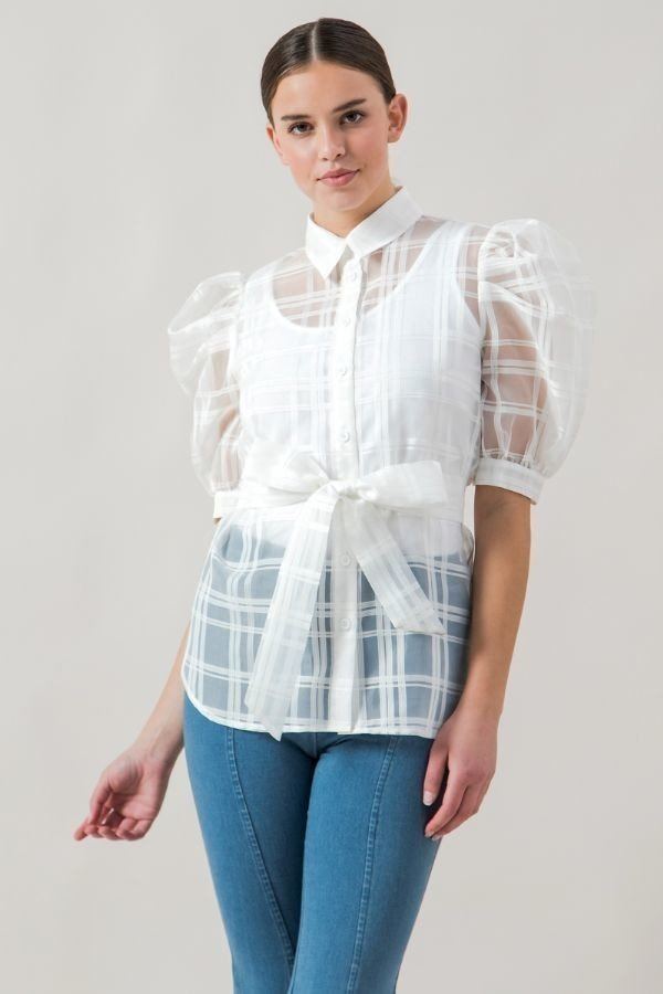 A See-thru Mini Length Organza Top