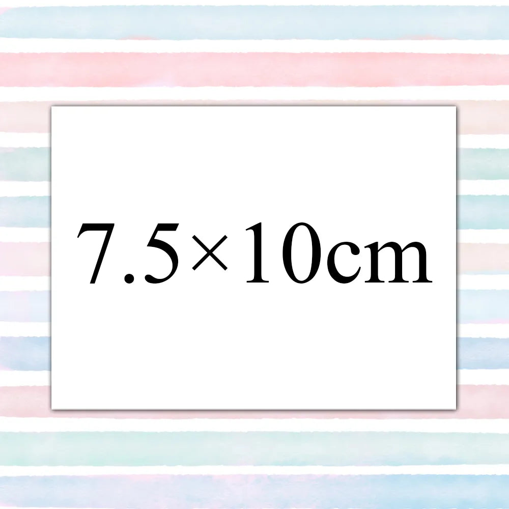 41707105124488|41707105190024|41707105255560|41707105321096