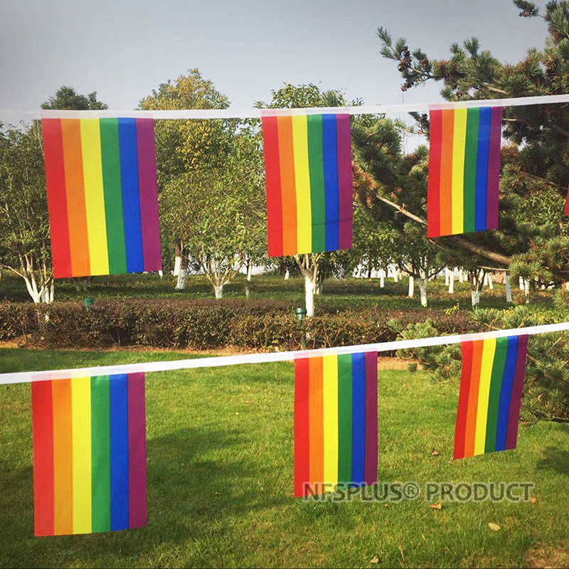 Hanging Rainbow Flag LGBT Gay Pride Lesbian Bisexual Tansgender Pansexual 14x21cm 6M~7M Home Party Decorative Flags And Banners