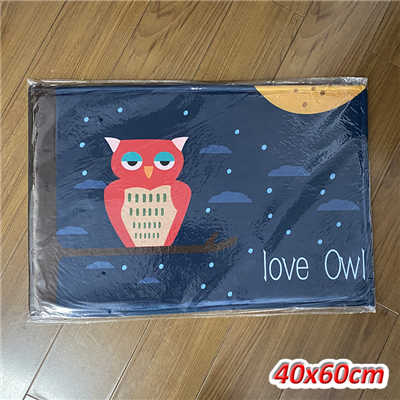 Home Decorative Doormat Entrance Door Mat Cartoon Designs Flannel Fabric PVC Dotted Anti-Slip Floor Mats Carpets Area Rugs