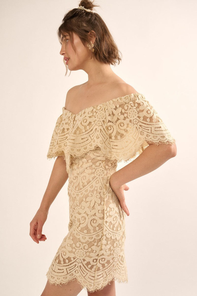 A Lace, Woven Mini Dress