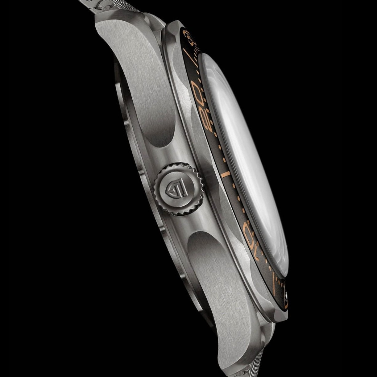 PAGANI DESIGN Men&#39;s Mechanical Wristwatches Luxury Automatic Watch For Men Luminous Diving Steel Watch Japan NH35 Clock 2022 New
