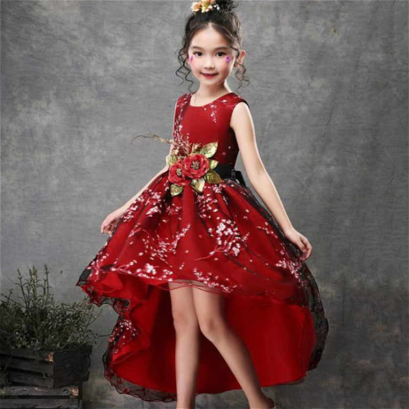 Baby Girls Flower Princess Ball Gown Party Tutu Trailing Dress For Brithday Wedding Kids Christmas Dresses Children Clothing