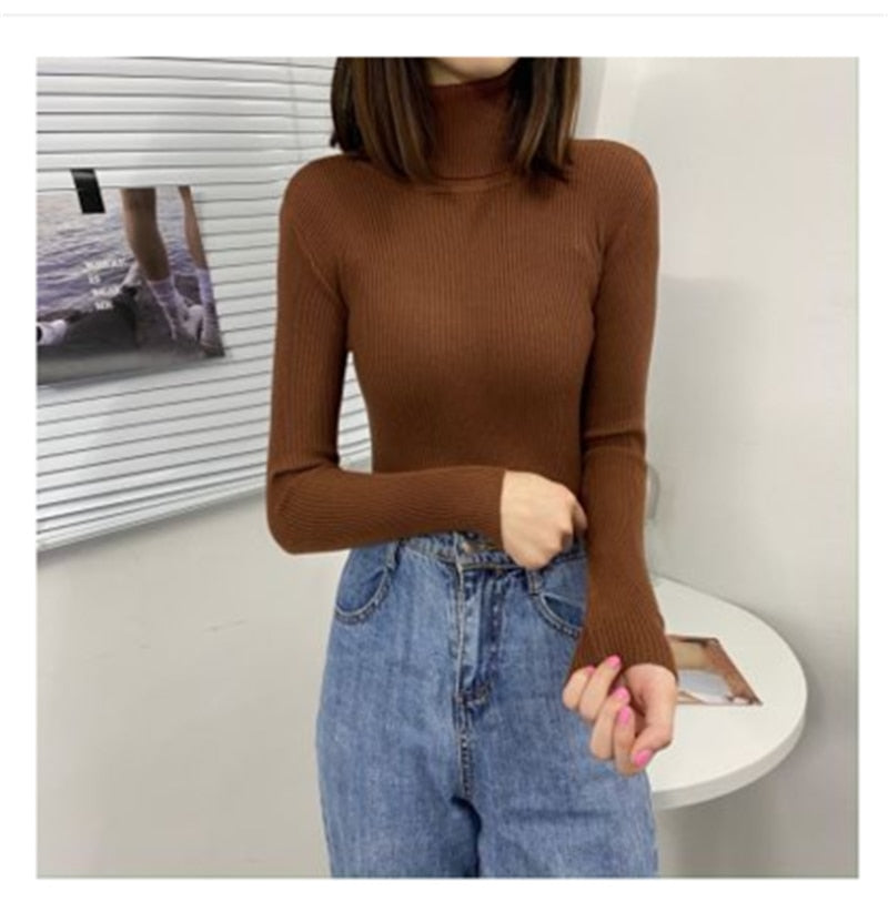 Women Turtleneck Sweaters Autumn Winter Korean Slim Pullover Women Basic Tops Casual Soft Knit Sweater Soft Warm Jumper