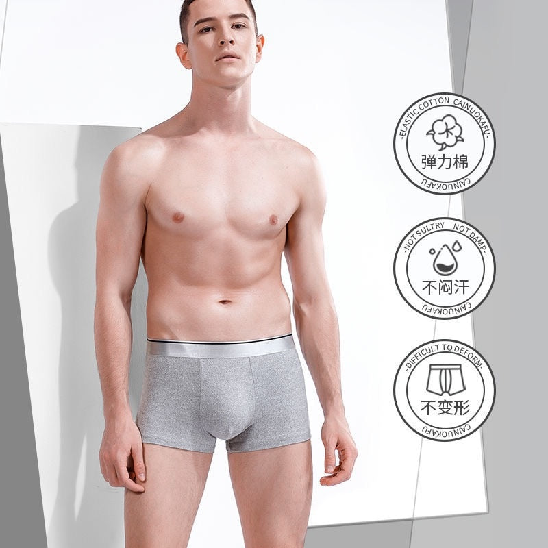 Boxer Male Panties Men&#39;s Underwear Boxers Breathable Sexy Man Boxer Solid Underpants Comfortable Plus Size BoxerShorts Lot L-5XL