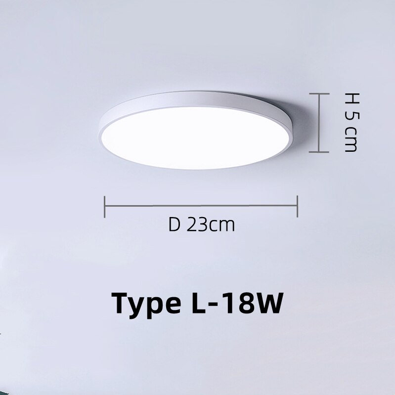 Modern LED Aisle Ceiling Lights Black White Corridor Light Balcony Lights Ceiling Lamp For Bedroom Living Room Home Lighting